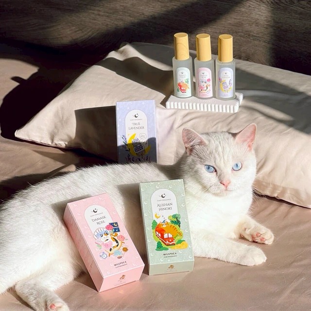 【MISSPOCA】★抱貓睡香香 益生菌舒眠香氛【全款３件組】 精油枕頭噴霧 防蟎抗菌睡眠擴香禮盒組 ｜寵物 (貓)友善